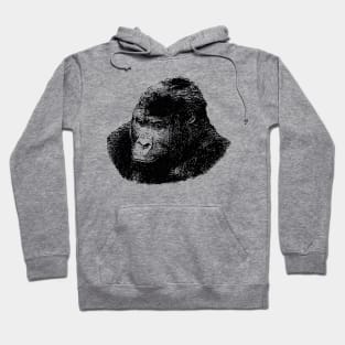 Gorilla portrait Hoodie